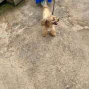 ヒメ日記 2025/07/15 13:05 投稿 明日香【アスカ】 輝女