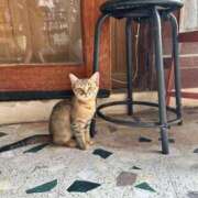 ヒメ日記 2025/08/16 08:12 投稿 明日香【アスカ】 輝女