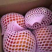 ヒメ日記 2025/09/11 22:00 投稿 明日香【アスカ】 輝女