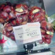 ヒメ日記 2025/09/17 08:38 投稿 明日香【アスカ】 輝女