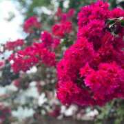 ヒメ日記 2025/09/18 16:06 投稿 明日香【アスカ】 輝女