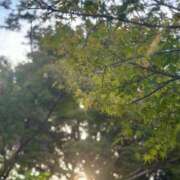 ヒメ日記 2025/10/02 13:46 投稿 明日香【アスカ】 輝女