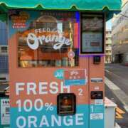 ヒメ日記 2025/11/30 14:19 投稿 明日香【アスカ】 輝女