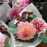 ヒメ日記 2026/03/14 16:56 投稿 明日香【アスカ】 輝女