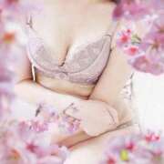 ヒメ日記 2026/04/06 08:28 投稿 羽月 眞桜 こあくまな熟女たち姫路店（KOAKUMAグループ）