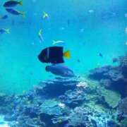 ヒメ日記 2025/08/22 19:01 投稿 柊ゆずか 華女 第二章