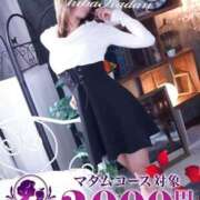 ヒメ日記 2025/08/23 12:00 投稿 あんず 千葉人妻花壇