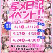 ヒメ日記 2026/04/04 08:15 投稿 サナ 京都デリヘル倶楽部FIRST