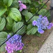 ヒメ日記 2025/09/21 21:05 投稿 サナ 京都ホテヘル倶楽部