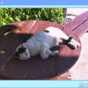 ヒメ日記 2025/07/14 20:02 投稿 ひかる 渋谷 風俗 奥様発情の会