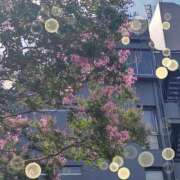 ヒメ日記 2025/07/20 14:30 投稿 ひかる 渋谷 風俗 奥様発情の会