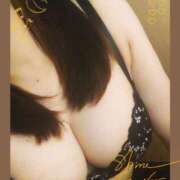 ヒメ日記 2025/07/24 08:30 投稿 ひかる 渋谷 風俗 奥様発情の会