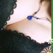 ヒメ日記 2025/08/27 08:30 投稿 ひかる 渋谷 風俗 奥様発情の会