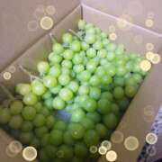 ヒメ日記 2025/09/02 13:00 投稿 ひかる 渋谷 風俗 奥様発情の会