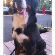 ヒメ日記 2025/09/07 18:01 投稿 ひかる 渋谷 風俗 奥様発情の会