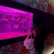 ヒメ日記 2025/07/23 13:30 投稿 なぎ ミスキャンパス