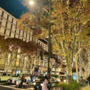 なぎ 出勤予定٩( 'ω' )و💞 ミスキャンパス