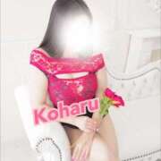 ヒメ日記 2025/06/28 06:36 投稿 こはる ナポレオン