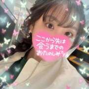 ヒメ日記 2025/07/27 08:42 投稿 こはる ナポレオン