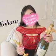 ヒメ日記 2025/07/27 16:20 投稿 こはる ナポレオン