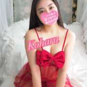 ヒメ日記 2025/08/06 08:29 投稿 こはる ナポレオン