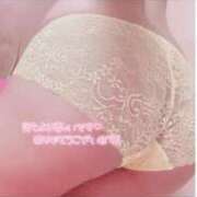 ヒメ日記 2025/09/17 13:30 投稿 こはる ナポレオン