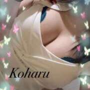 こはる ♡またあなたに会いたくて ナポレオン