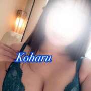 ヒメ日記 2026/01/31 13:19 投稿 こはる ナポレオン