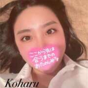 こはる ♡ひまわりのように🌻♡ ナポレオン