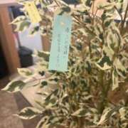 ヒメ日記 2025/07/07 18:19 投稿 ありな ぐっすり山田　大阪店