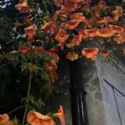 ヒメ日記 2025/06/24 09:50 投稿 ふみ 手こき＆オナクラ 大阪はまちゃん