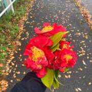 ヒメ日記 2025/06/27 12:30 投稿 ふみ 手こき＆オナクラ 大阪はまちゃん