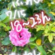 ヒメ日記 2025/07/15 17:27 投稿 ふみ 手こき＆オナクラ 大阪はまちゃん