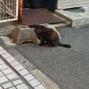 ヒメ日記 2025/07/22 11:20 投稿 ふみ 手こき＆オナクラ 大阪はまちゃん