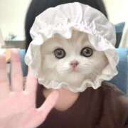 ヒメ日記 2025/08/09 12:10 投稿 ふみ 手こき＆オナクラ 大阪はまちゃん