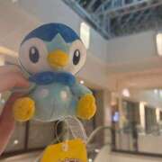 みおん ぺっと アイドルドリーム