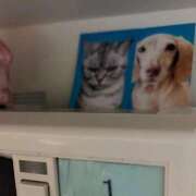 ヒメ日記 2026/03/31 18:35 投稿 みおん アイドルドリーム