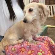 ヒメ日記 2026/04/22 18:32 投稿 みおん アイドルドリーム