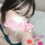 ヒメ日記 2025/07/10 13:04 投稿 しおり spicyな女たち