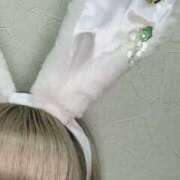 ヒメ日記 2025/06/21 01:14 投稿 るい バニーオンデマンド