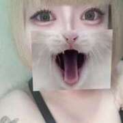 ヒメ日記 2025/07/02 01:56 投稿 るい バニーオンデマンド