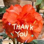 ヒメ日記 2025/06/25 23:48 投稿 彩愛(あやめ)♥潮吹くスレンダー 美魔女コレクション