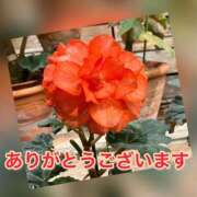 彩愛(あやめ)♥潮吹くスレンダー お礼 美魔女コレクション