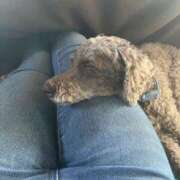 ヒメ日記 2025/10/26 21:15 投稿 あい バニーオンデマンド