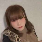 ヒメ日記 2025/11/12 00:22 投稿 あい バニーオンデマンド