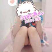 ヒメ日記 2025/08/01 00:00 投稿 しおり いざ候 本館