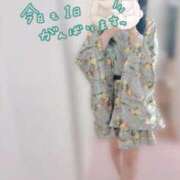 ヒメ日記 2025/09/28 13:27 投稿 しおり いざ候 本館