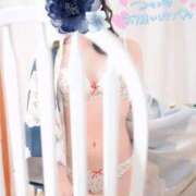 ヒメ日記 2025/10/06 10:47 投稿 しおり いざ候 本館