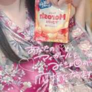 ヒメ日記 2025/11/24 16:47 投稿 しおり いざ候 本館