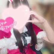 ヒメ日記 2025/12/18 15:07 投稿 しおり いざ候 本館